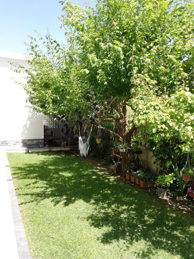 Moradia No Seixal Ericeira Hotel Kültér fotó