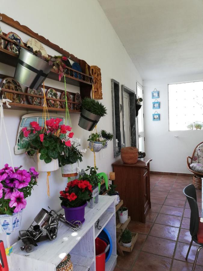 Moradia No Seixal Ericeira Hotel Kültér fotó